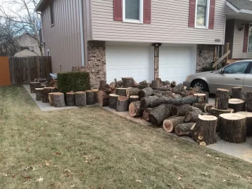 [Hearth.com] My latest wood score