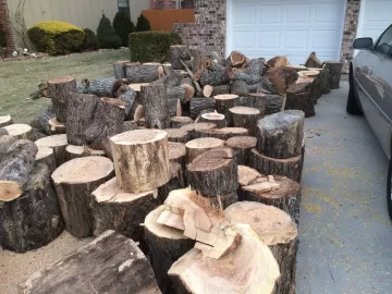 [Hearth.com] My latest wood score
