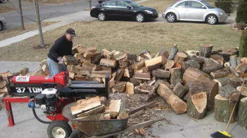 [Hearth.com] My latest wood score