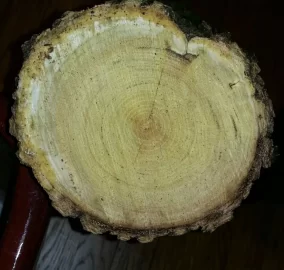[Hearth.com] another wood ID