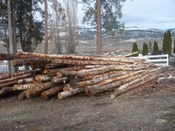 [Hearth.com] Logging truck load delivered yesterday