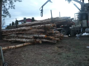 [Hearth.com] Logging truck load delivered yesterday