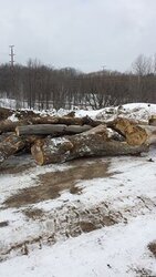 Time-saving tips for wood collection?