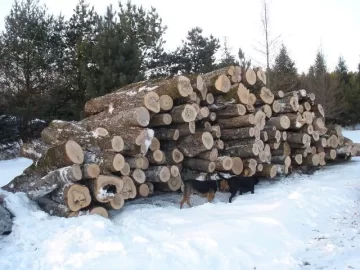 [Hearth.com] Logging truck load delivered yesterday