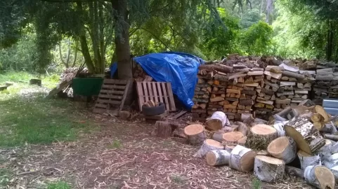 [Hearth.com] New scrounge - missing burning its summer here...