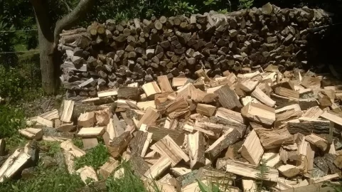 [Hearth.com] New scrounge - missing burning its summer here...