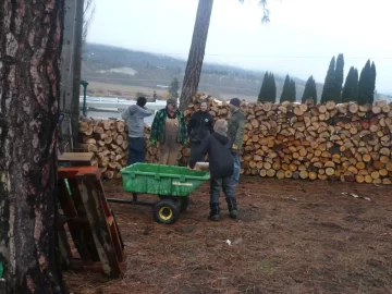 [Hearth.com] Logging truck load delivered yesterday