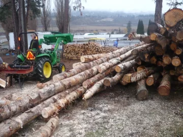 [Hearth.com] Logging truck load delivered yesterday