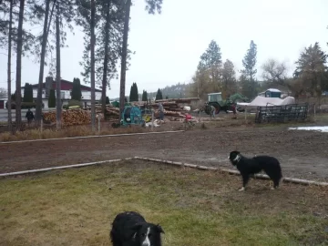 [Hearth.com] Logging truck load delivered yesterday