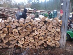 Logging truck load delivered yesterday