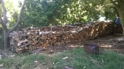 [Hearth.com] Blue Gum - scrounge and pics