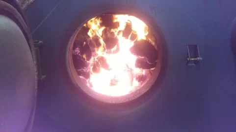 [Hearth.com] hot dog roast?