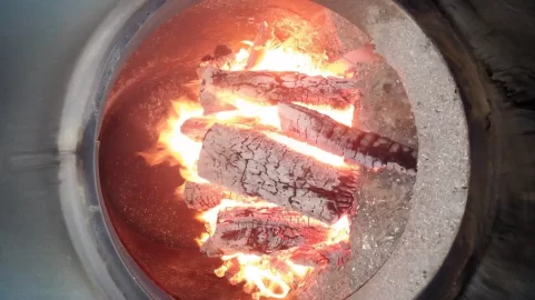 [Hearth.com] hot dog roast?