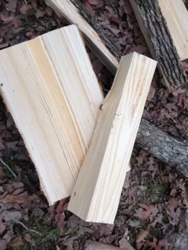 [Hearth.com] My first ash tree