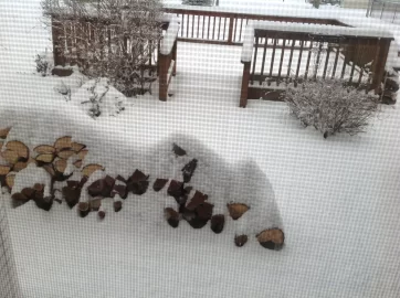 [Hearth.com] Hey! You NorthEasterners!