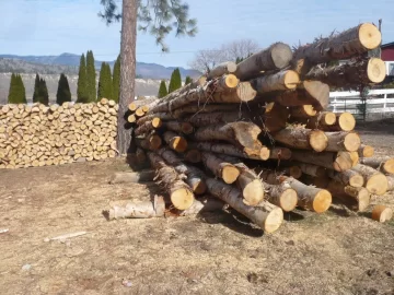 [Hearth.com] Logging truck load delivered yesterday
