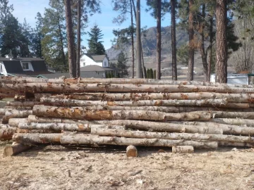 [Hearth.com] Logging truck load delivered yesterday