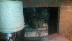 Widow neighbor with drafty fireplace