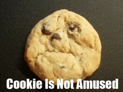 Cookie_Is_Not_Amused.png