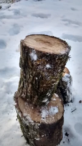 [Hearth.com] Wood ID Help again