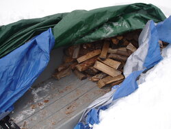 Completely Covered Woodpile