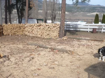 [Hearth.com] Logging truck load delivered yesterday
