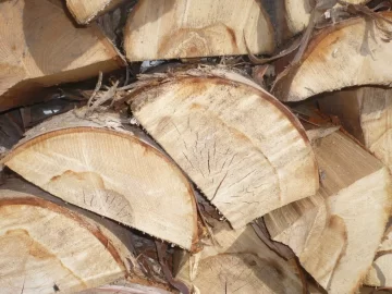 [Hearth.com] Logging truck load delivered yesterday