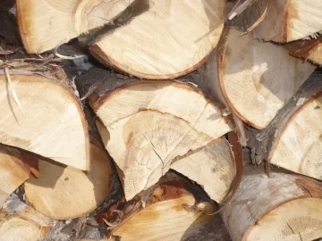 [Hearth.com] Logging truck load delivered yesterday