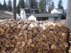 Logging truck load delivered yesterday