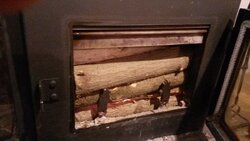 Box Elder any good in a cat stove?