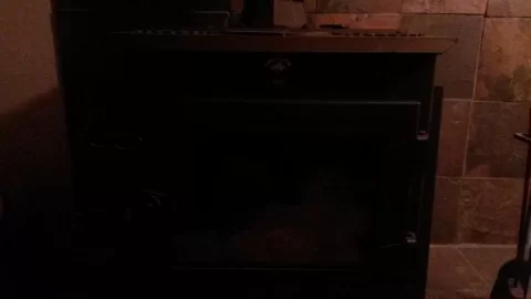 [Hearth.com] Box Elder any good in a cat stove?