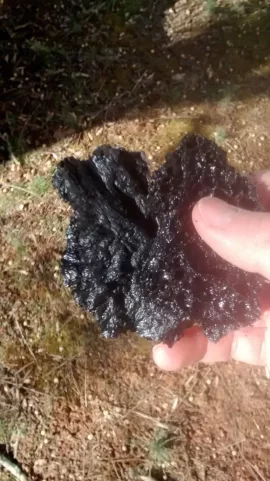 [Hearth.com] Creosote stuff