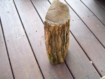 [Hearth.com] Is this wood or trash?