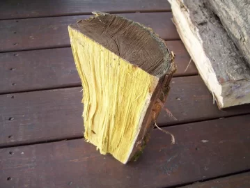 [Hearth.com] Is this wood or trash?