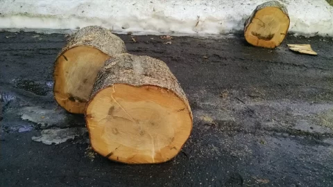 [Hearth.com] wood id