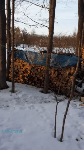 [Hearth.com] fastest seasoning wood.