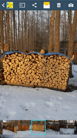 [Hearth.com] fastest seasoning wood.