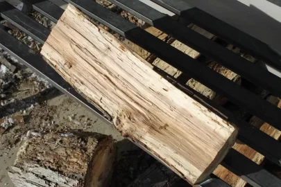 [Hearth.com] What is this wood? Splits Great!!