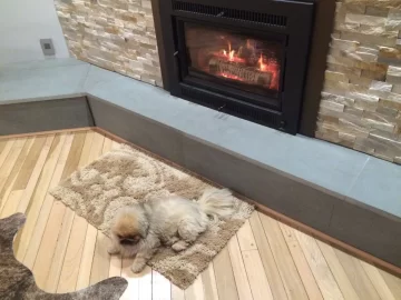 [Hearth.com] New Wood Insert Advice