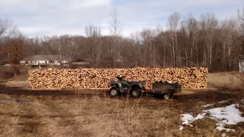 ignorance is bliss (massive wood score)