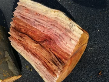 [Hearth.com] what wood is this?