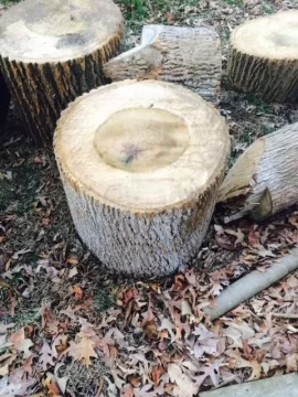 [Hearth.com] Wood ID Help