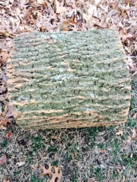 [Hearth.com] Wood ID Help