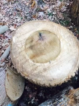 [Hearth.com] Wood ID Help