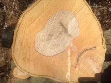 [Hearth.com] ID and today's work