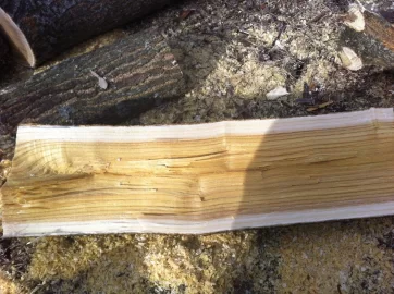[Hearth.com] Wood ID
