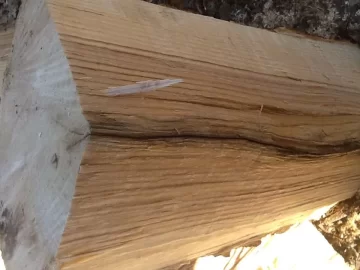 [Hearth.com] ID and today's work