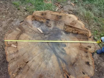 [Hearth.com] ID and today's work