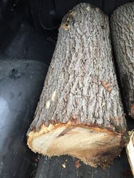 My I-95 wood scrounge. ID help please.
