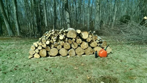 [Hearth.com] Got started splitting today...